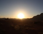 IMG_2316 IMG_2316