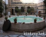 IMG_3650 IMG_3650