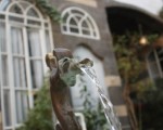 IMG_3765 IMG_3765