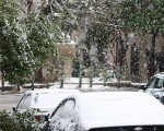 IMG_4081 IMG_4081