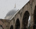 IMG_4108 IMG_4108