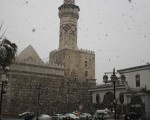 IMG_4116 IMG_4116