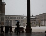 IMG_4146 IMG_4146