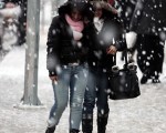 IMG_4179 IMG_4179