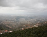 IMG_5029