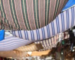 IMG_9138 IMG_9138