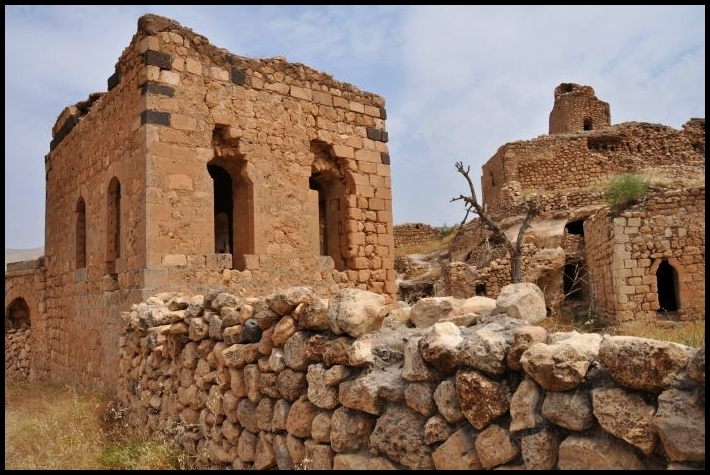 hasankeyf013