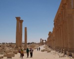 palmyra4