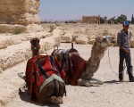 palmyra5