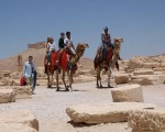 palmyra6